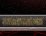 Grass - Animated Icon